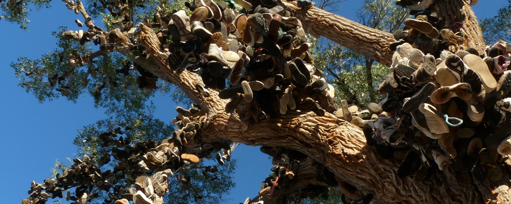 "We Failed" -- Terrance Hubbard